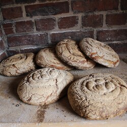 Piknik przy Piekaroku