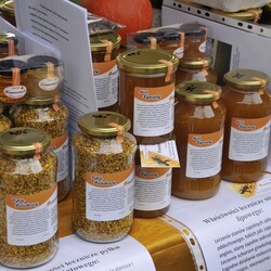 Dożynki i Festiwal Żuru