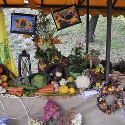 Dożynki i Festiwal Żuru