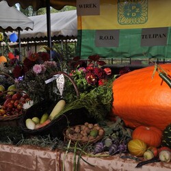 Dożynki i Festiwal Żuru