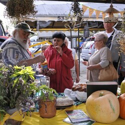 Dożynki i Festiwal Żuru