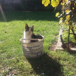 Mój Zwierzak - Mój Przyjaciel