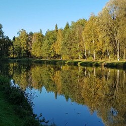 Rudzka Złota Jesień
