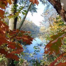 Rudzka Złota Jesień