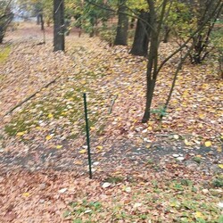 Rudzka Złota Jesień