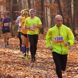 XXV Biegi Niepodległości