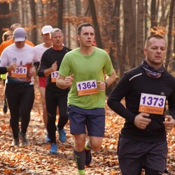 XXV Biegi Niepodległości