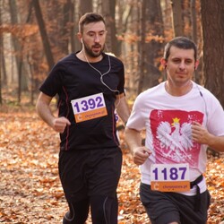 XXV Biegi Niepodległości