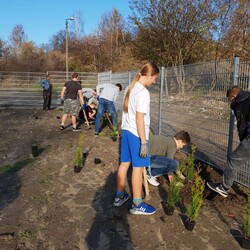 Nasadzenia w SP nr 16