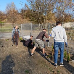 Nasadzenia w SP nr 16