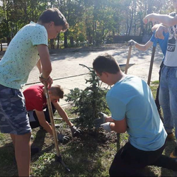 Nasadzenia w SP nr 16