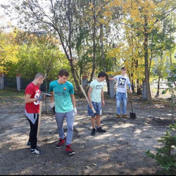 Nasadzenia w SP nr 16