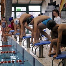 Mistrzostwa w pływaniu