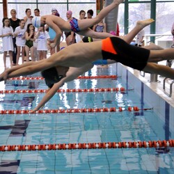 Mistrzostwa w pływaniu