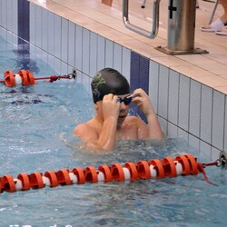 Mistrzostwa w pływaniu