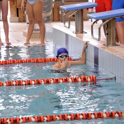 Mistrzostwa w pływaniu