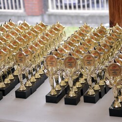 Mistrzostwa w pływaniu