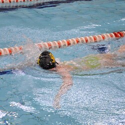 Mistrzostwa w pływaniu