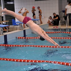 Mistrzostwa w pływaniu