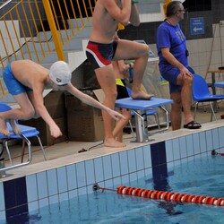 Mistrzostwa w pływaniu