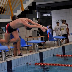 Mistrzostwa w pływaniu