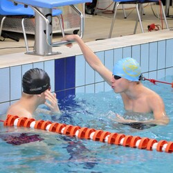 Mistrzostwa w pływaniu