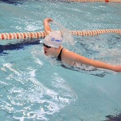 Mistrzostwa w pływaniu