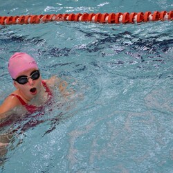 Mistrzostwa w pływaniu