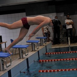 Mistrzostwa w pływaniu