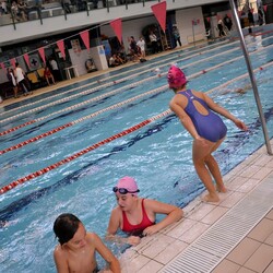 Mistrzostwa w pływaniu