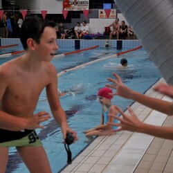 Mistrzostwa w pływaniu