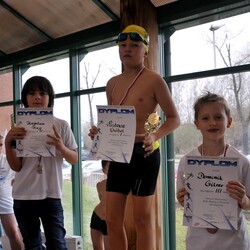 Mistrzostwa w pływaniu