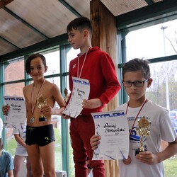 Mistrzostwa w pływaniu