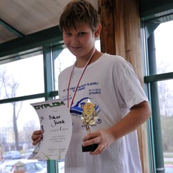 Mistrzostwa w pływaniu