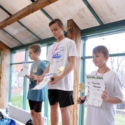 Mistrzostwa w pływaniu