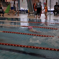 Mistrzostwa w pływaniu