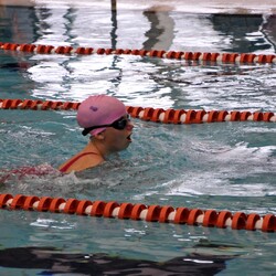 Mistrzostwa w pływaniu