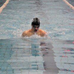 Mistrzostwa w pływaniu