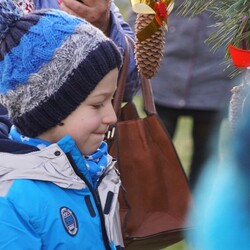 Strojenie choinki na plantach