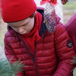 Strojenie choinki na plantach