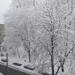 Ruda Śląska w zimowej odsłonie