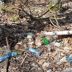 Sprzątanie w Halembie