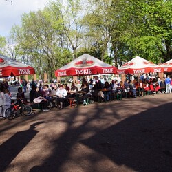 Koncert w Parku Kozioła