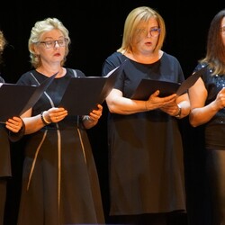 Muzyczny fajer skuli diamentowych godow Rudy Ślonskij