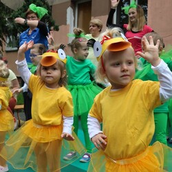 TGON - Piknik Adaptacyjny