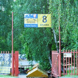 Giełda staroci i luftowanie szranków