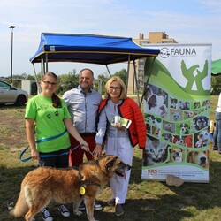 Festyn na Górze Antonia