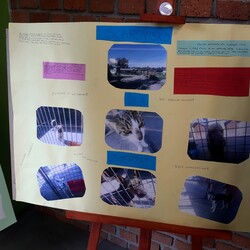 25 lat istnienia TOZ "FAUNA"