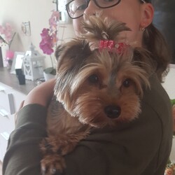 Nasze Dzieciaki Kochają Zwierzaki