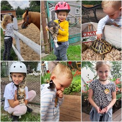 Nasze Dzieciaki Kochają Zwierzaki